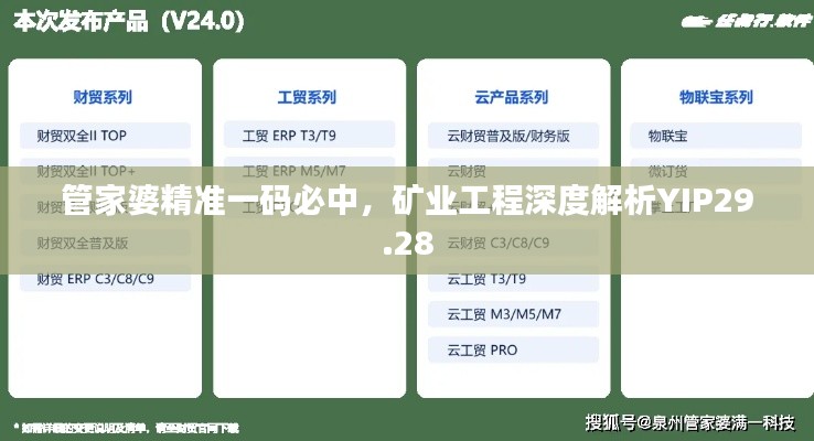 管家婆精準(zhǔn)一碼必中，礦業(yè)工程深度解析YIP29.28