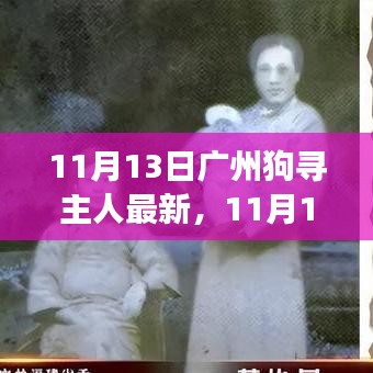 廣州狗狗尋找主人最新進(jìn)展，溫暖重逢與尋寵路上的希望（11月13日更新）