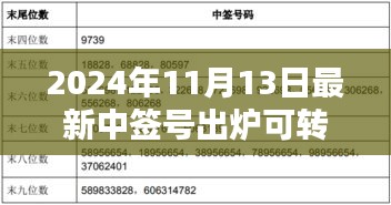 揭秘，2024年最新可轉(zhuǎn)債中簽號(hào)出爐背后的影響與時(shí)代地位分析