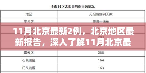 北京地區(qū)最新報(bào)告，深入了解11月新增兩例的產(chǎn)品特性與體驗(yàn)