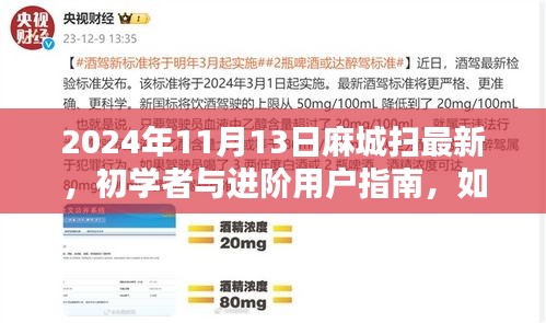 麻城掃最新技能指南，初學(xué)者與進(jìn)階用戶如何掌握