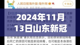 山東新冠疫情最新報告，多維視角下的深度分析（2024年11月13日）