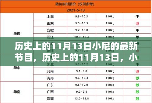 小尼最新節(jié)目深度解析，歷史上的十一月十三日