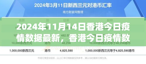 2024年11月14日香港疫情數(shù)據(jù)報告，最新分析與觀察思考