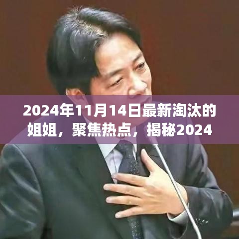 揭秘，2024年11月14日最新淘汰的姐姐背后的故事與熱點(diǎn)聚焦