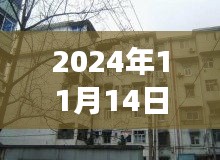 洛寧二手房最新信息探索，巷弄之韻與隱藏的小巷故事（最新信息門戶）