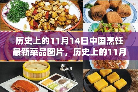 11月14日中國烹飪新菜品圖片展示，歷史菜品深度評測與介紹