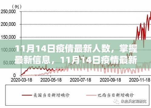 11月14日疫情最新人數(shù)查詢指南，掌握最新信息