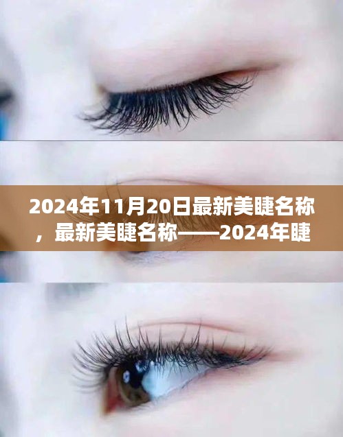 最新美睫名稱揭秘，2024年睫毛美學的革命性變革