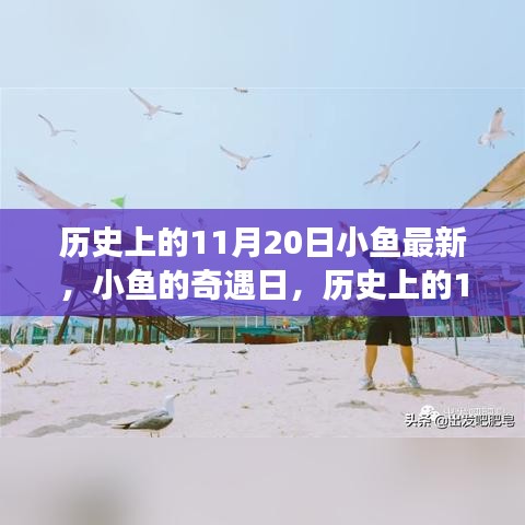 歷史上的11月20日，小魚奇遇日的溫馨小事回顧