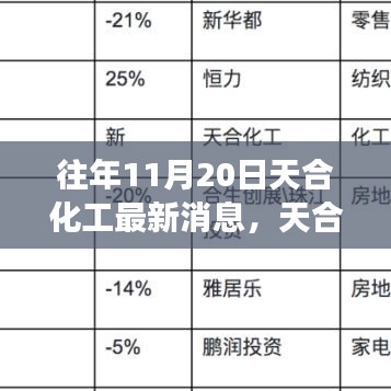 天合化工最新動態(tài)解讀，產品特性、用戶體驗與目標用戶分析揭秘