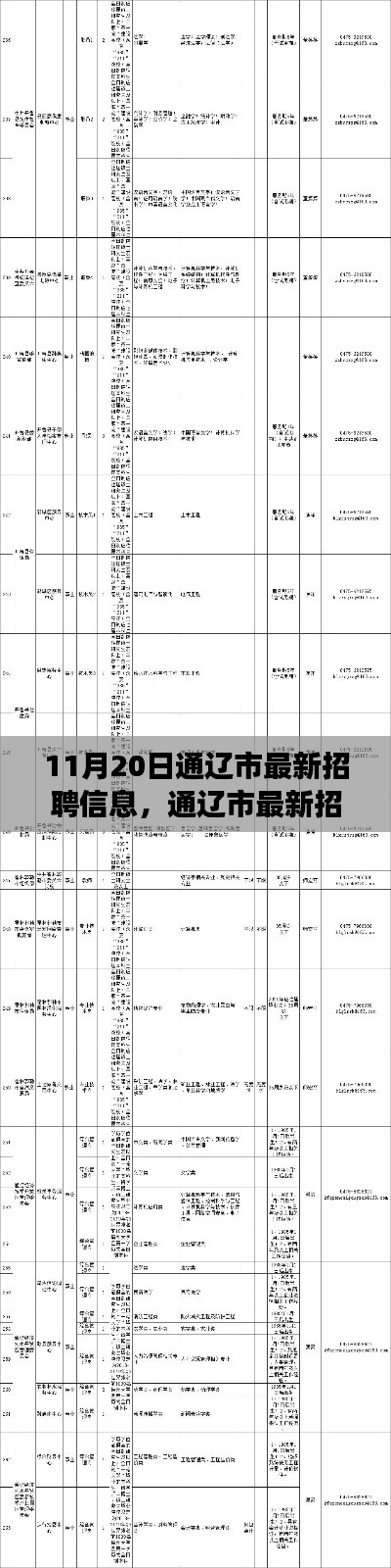 通遼市最新招聘信息概覽，職場人的福音（11月20日更新）