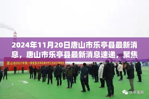 聚焦唐山市樂亭縣發(fā)展動態(tài)，最新消息速遞（2024年11月20日版）