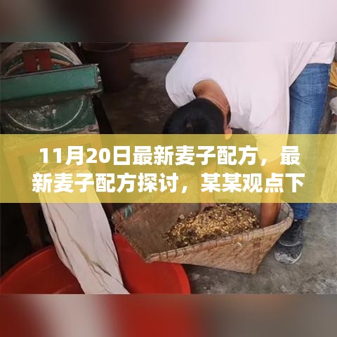 最新麥子配方探討，某某觀點下的分析與個人立場分享（11月20日更新）