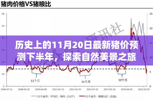 歷史上的11月20日豬價(jià)預(yù)測(cè)與心靈寧?kù)o尋覓之旅，自然美景探索