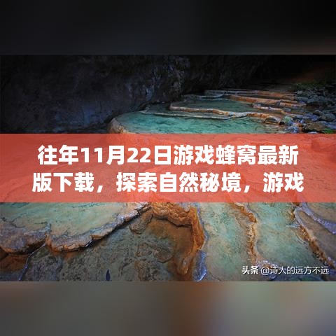 游戲蜂窩帶你探索自然秘境，最新下載，心靈平靜之旅