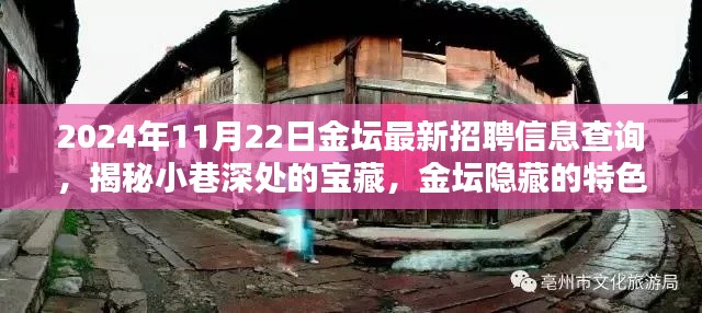 揭秘金壇隱藏特色小店與最新招聘信息奇遇記，2024年11月22日金壇招聘信息深度查詢