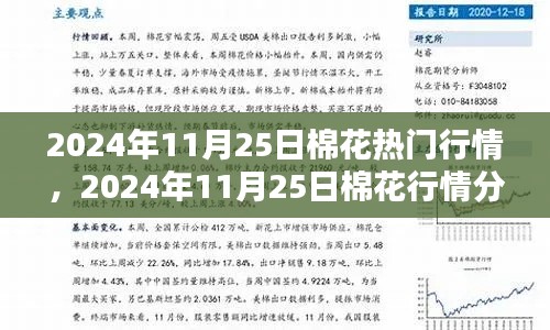 棉花行情深度解析，從入門到精通——2024年11月25日棉花行情指南