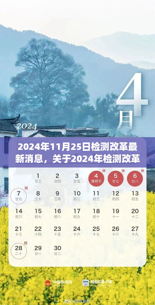 2024年檢測(cè)改革最新動(dòng)態(tài)全面解讀與深度分析