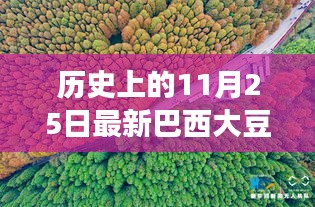 容光煥發(fā) 第13頁