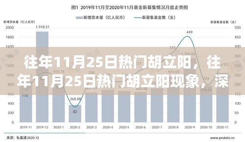 深度解析與觀點(diǎn)闡述，胡立陽現(xiàn)象——?dú)v年11月25日的熱門焦點(diǎn)