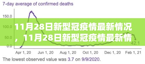 全面評(píng)測(cè)與深度解析，11月28日新冠疫情最新情況