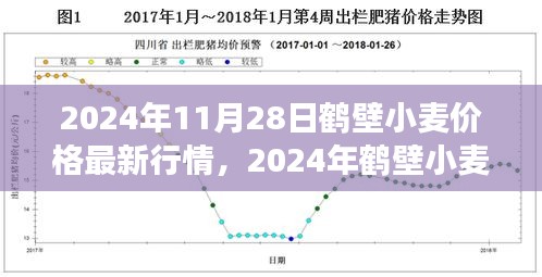 2024年鶴壁小麥價(jià)格最新行情及市場(chǎng)走勢(shì)分析，影響因素探討