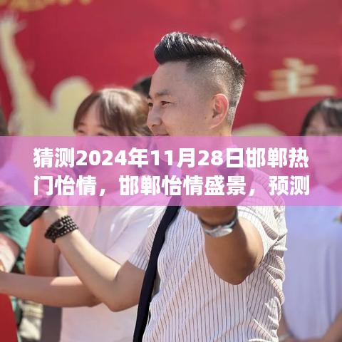 2024年11月28日邯鄲怡情盛景預(yù)測(cè)與回顧，城市脈動(dòng)揭秘