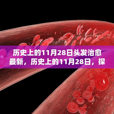 歷史上的11月28日，探尋頭發(fā)治愈的最新篇章??