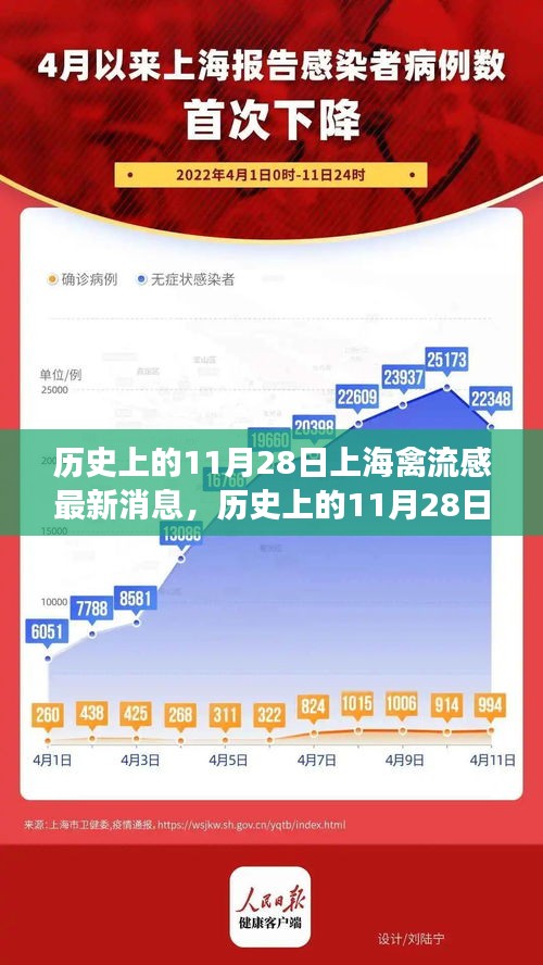 歷史上的11月28日上海禽流感及其平息后的自然探索之旅尋找內(nèi)心寧靜