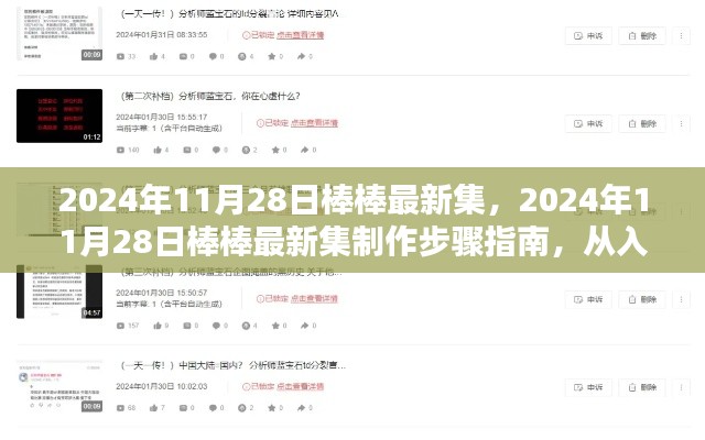 2024年11月28日棒棒最新集制作指南，從入門到精通