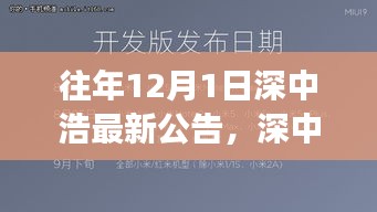 深中浩歷年公告深度解析，背景、事件與領(lǐng)域地位回顧之最新公告解讀