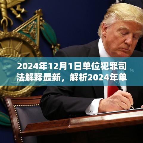 深度解析，2024年單位犯罪司法解釋最新動(dòng)態(tài)及三大要點(diǎn)探討