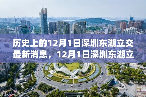 深圳東湖立交新進(jìn)展，自然美景的心靈之旅啟程日紀(jì)念報(bào)道