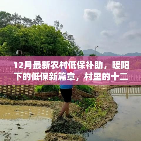 農(nóng)村低保補助新篇章，暖陽下的十二月溫情紀事