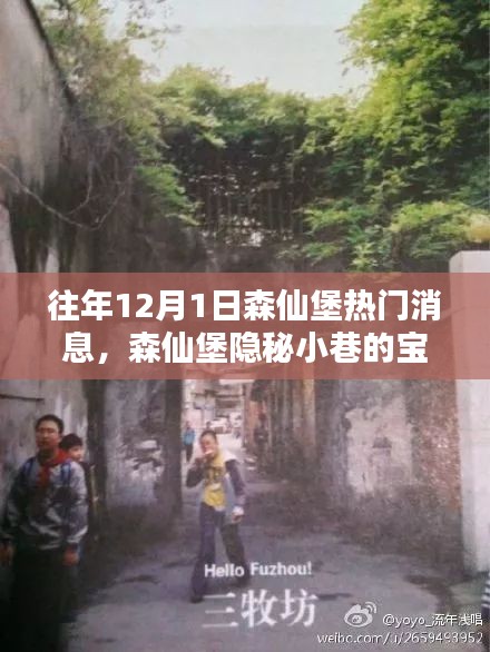 揭秘森仙堡隱秘小巷寶藏，十二月一日獨(dú)家新聞與特色小店的非凡魅力