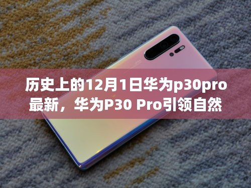 華為P30 Pro引領(lǐng)自然探索之旅，一場歷史與科技的奇妙旅程（最新資訊）