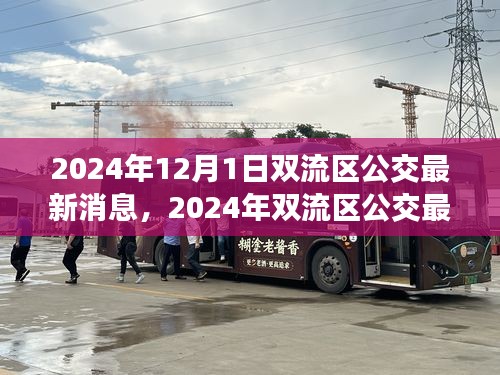 2024年雙流區(qū)公交最新消息詳解，獲取與使用公交服務的全面指南