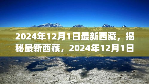 揭秘最新西藏，2024年西藏之旅的精彩瞬間（獨家報道）