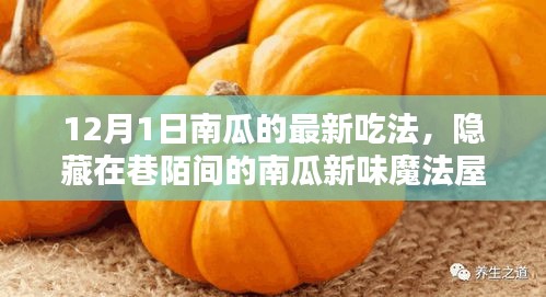 12月1日南瓜新味魔法屋，探秘南瓜盛宴的隱藏魅力