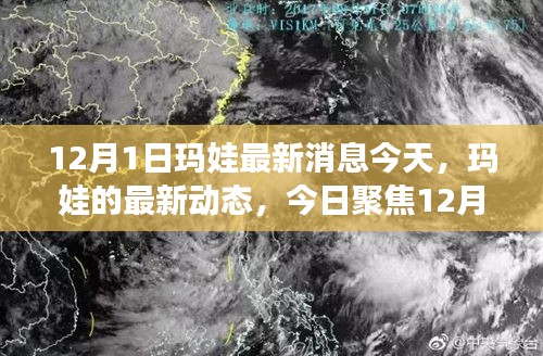 聚焦今日，瑪娃最新動態(tài) 12月1日消息