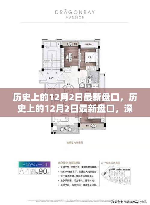 深度解析，歷史上的12月2日最新盤口及其觀點闡述