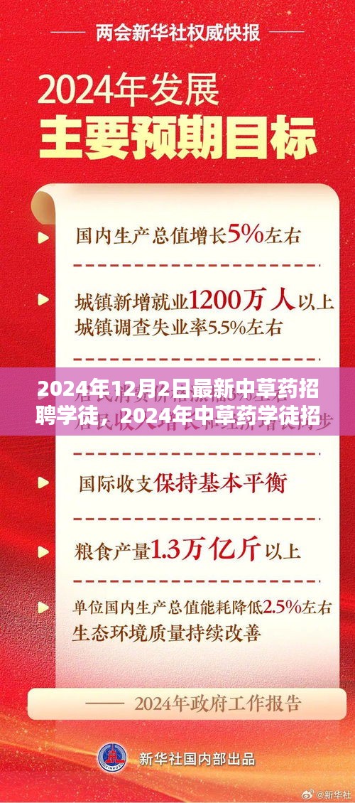 2024年中草藥學(xué)徒招聘趨勢與個人選擇深度探討