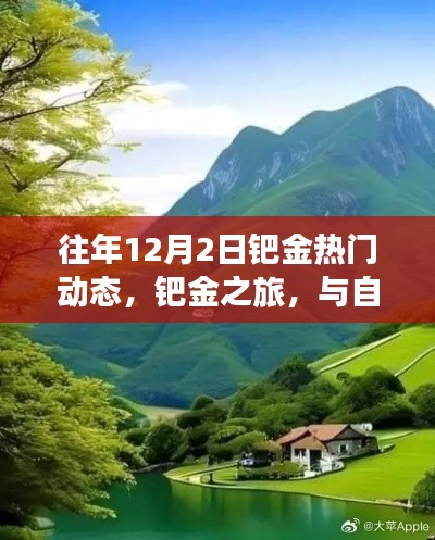 鈀金之旅，與自然美景相遇，探尋內(nèi)心寧?kù)o的熱門動(dòng)態(tài)回顧