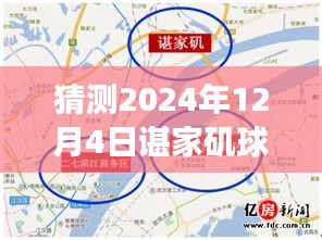 諶家磯球場最新動態(tài)展望，未來賽事猜想（2024年12月4日）