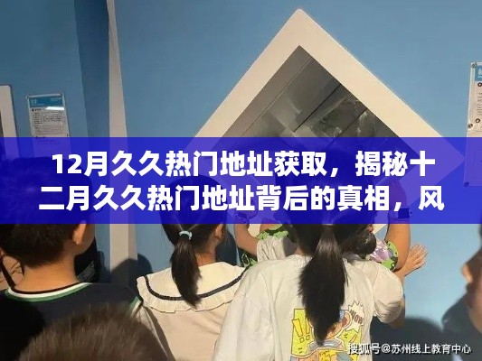 揭秘十二月久久熱門地址背后的真相，風(fēng)險警示與網(wǎng)絡(luò)安全科普知識分享