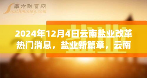 云南鹽業(yè)改革新篇章，溫情故事與行業(yè)動態(tài)揭秘（2024年12月4日）