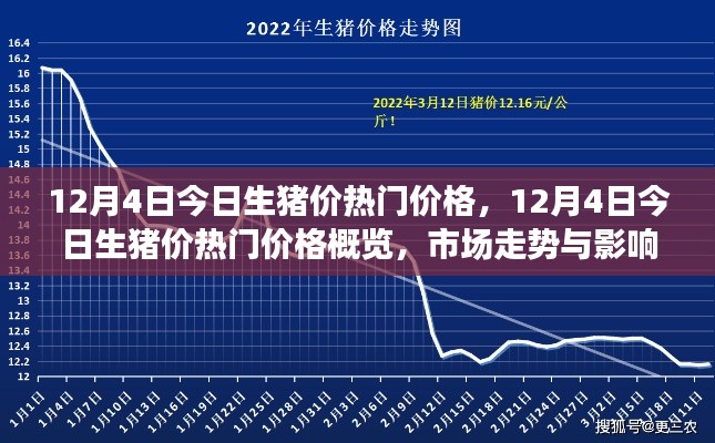 12月4日生豬價(jià)熱門概覽，深度解析市場走勢與影響因素