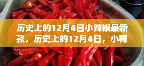 歷史上的小辣椒最新款誕生與影響，揭秘12月4日的獨(dú)特意義