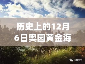 揭秘黃金海岸，歷史上的12月6日最新動(dòng)態(tài)與發(fā)展歷程揭秘